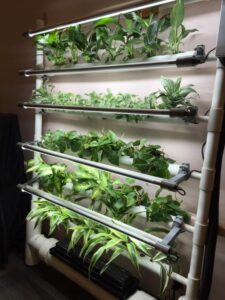 Indoor Hydroponic Growing Systems Hydroponic Gardening | Gardening Steps Image 725