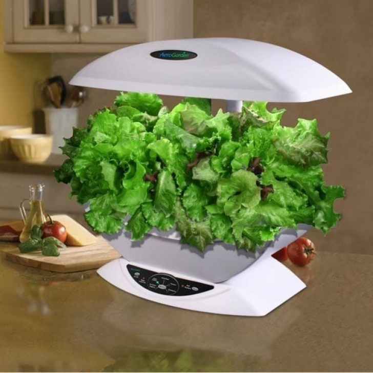 Indoor Hydroponic Growing Systems Indoor Hydroponic Systems – The Perfect Idea For A Home Photo 848