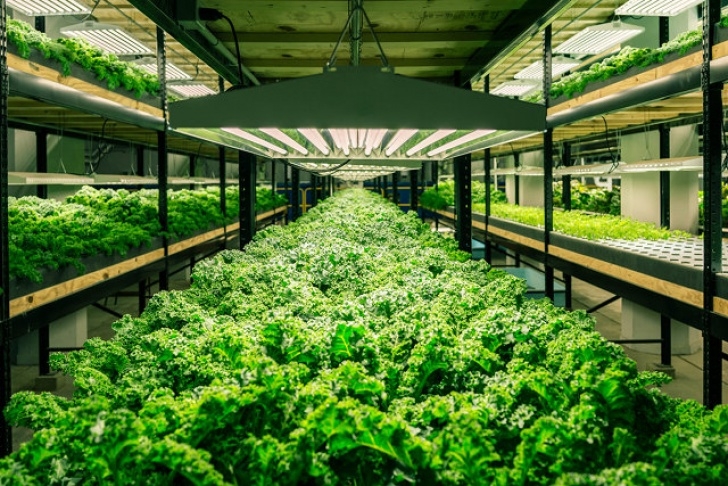 Indoor Hydroponic Vegetable Garden Hydroponics: Closed-Loop Indoor Food Production Picture 209