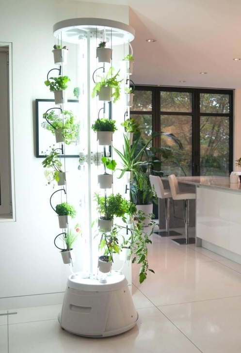 Indoor Hydroponic Vegetable Garden The Nutritower Indoor Gardening Systemindoor Garden Photo 695