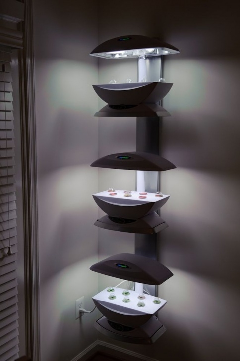 Indoor Hydroponic Wall Garden 131 Best Aerogardens And Accessories Images On Pinterest Picture 853