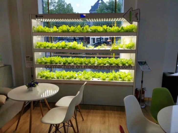 Indoor Hydroponic Wall Garden China Indoor Garden System Hydroponics With Led Grow Image 976