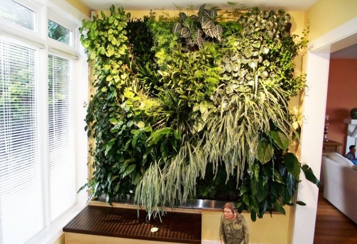 Indoor Hydroponic Wall Garden Create An Indoor Living Wall Of Plants | Indoor Plant Wall Image 274
