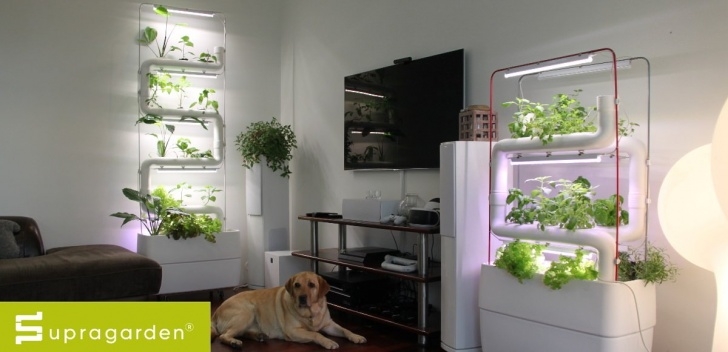 Indoor Hydroponic Wall Garden Supragarden® Green Wall Vertical Hydroponic Garden System Picture 188