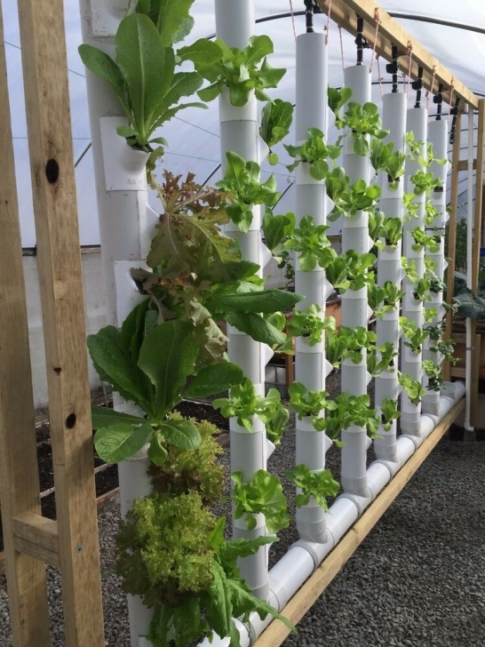 Indoor Hydroponic Wall Garden Two 5Ft Vertical Garden Towers Kit 18-36 Plants Image 939