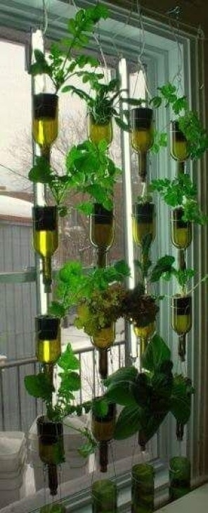 Indoor Hydroponic Wall Garden Winefoodmusic | Plantas En Botellas, Jardines Colgantes Y Photo 478