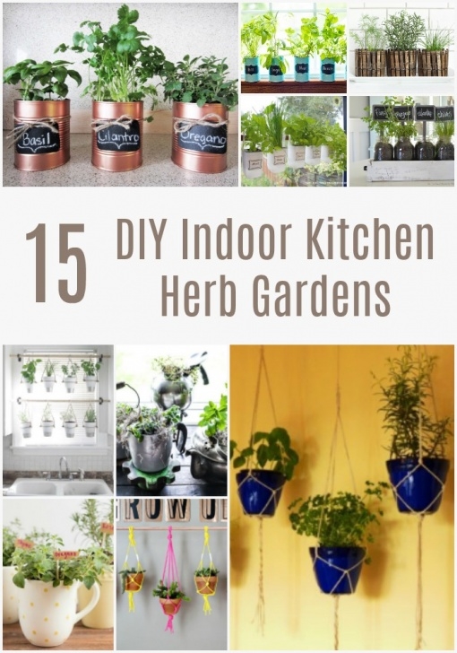 Indoor Kitchen Herb Garden 15 Diy Indoor Kitchen Herb Gardens - Crock-Pot Ladies Picture 012