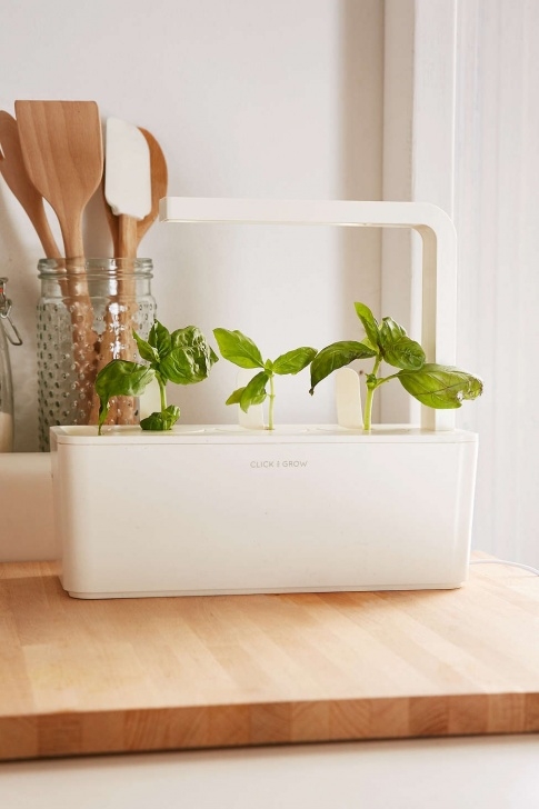 Indoor Kitchen Herb Garden Click And Grow: A Miniature Herb Garden For A Kitchen Picture 064