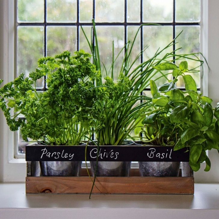 Indoor Kitchen Herb Garden Eight Gorgeous Buys For The Kitchen - Aol Picture 674