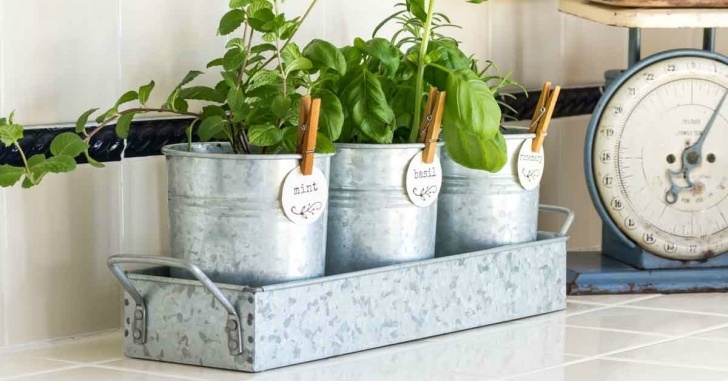 Indoor Kitchen Herb Garden Kitchen Herb Garden | Farmhouse Style - On Sutton Place Picture 459