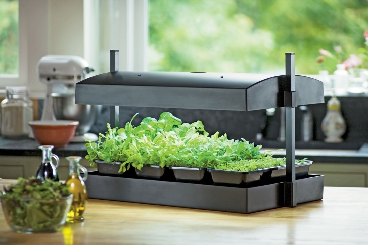 Indoor Kitchen Herb Garden Micro Grow Light Garden - Indoor Herb Garden | Herb Garden Image 648