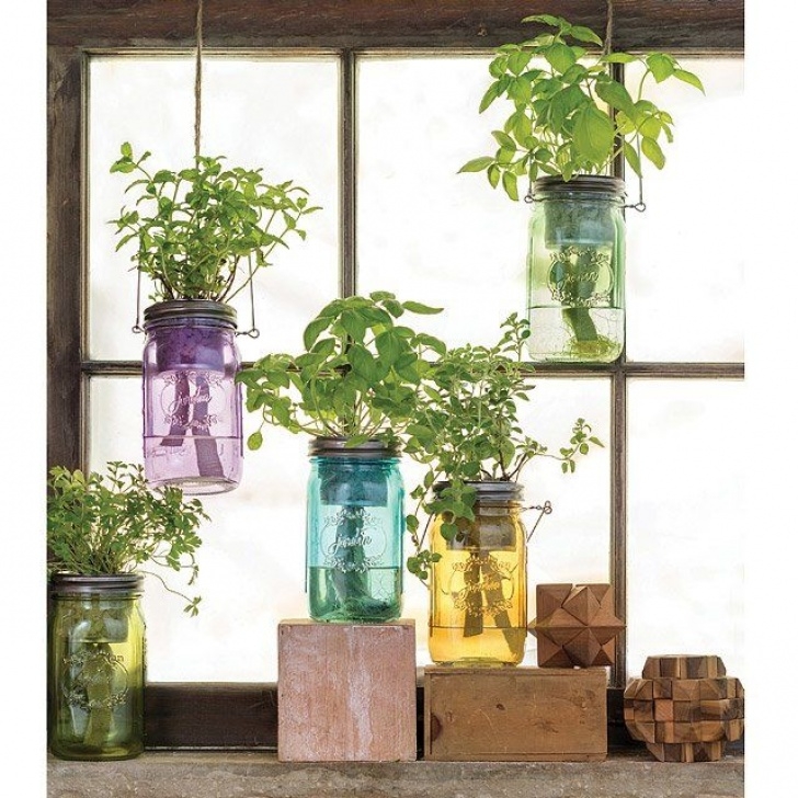 Indoor Kitchen Herb Garden Organic Parsley - Mason Jar Indoor Herb Garden | Home Picture 889