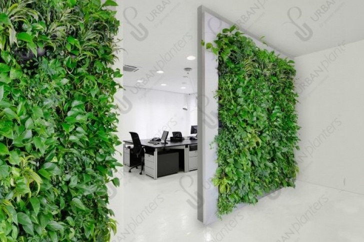 Indoor Living Wall Kits Living Green Walls And Indoor Living Wall Systems | Urban Photo 553