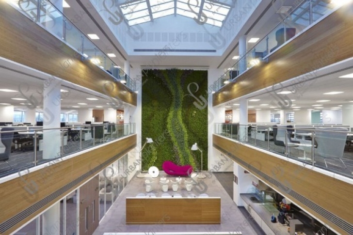 Indoor Living Wall Kits Living Green Walls And Indoor Living Wall Systems | Urban Picture 399