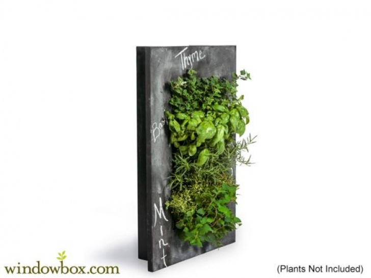 Indoor Living Wall Kits Vertical Garden Wall Kit With Chalkboard Frame Image 782