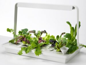 Indoor Plant Growing Kits Picture Of Krydda Vaxer Kit For Indoor Gardening By Ikea 7 Photo 594
