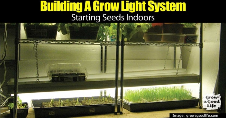Indoor Plant Growing System How To Build An Indoor Grow Lights System Photo 936
