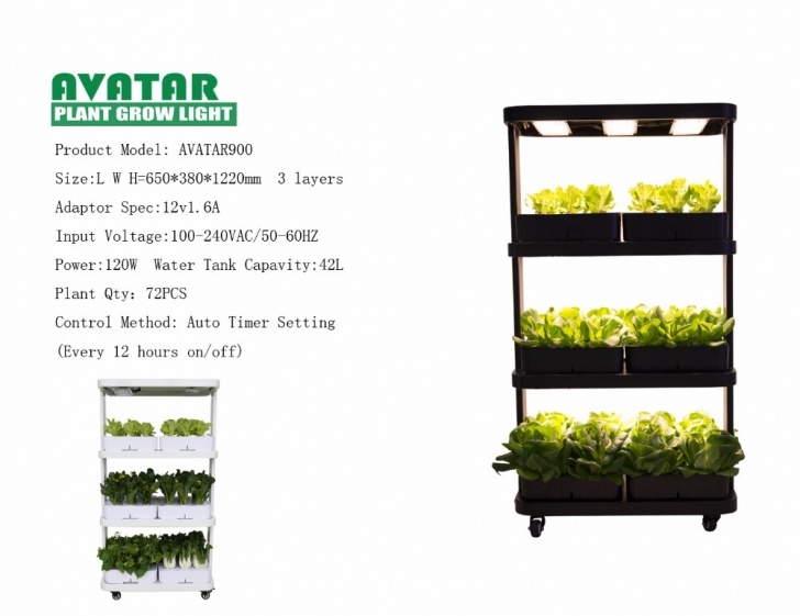 Indoor Plant Growing System Indoor Farming Exsips Plant Stand Aquaponics Strawberry Photo 679
