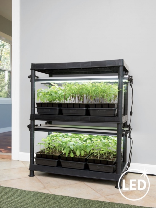 Indoor Plant Growing System Indoor Light Gardens | Plant Light Stands | Grow Light Systems Photo 076