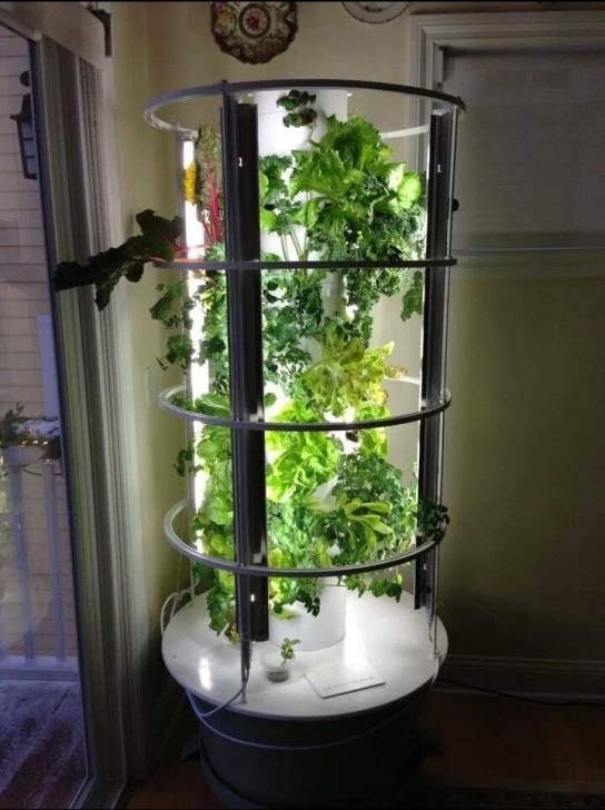 Indoor Plant Growing System Indoor Tower Garden With Grow Lights , We Took This Idea Image 221