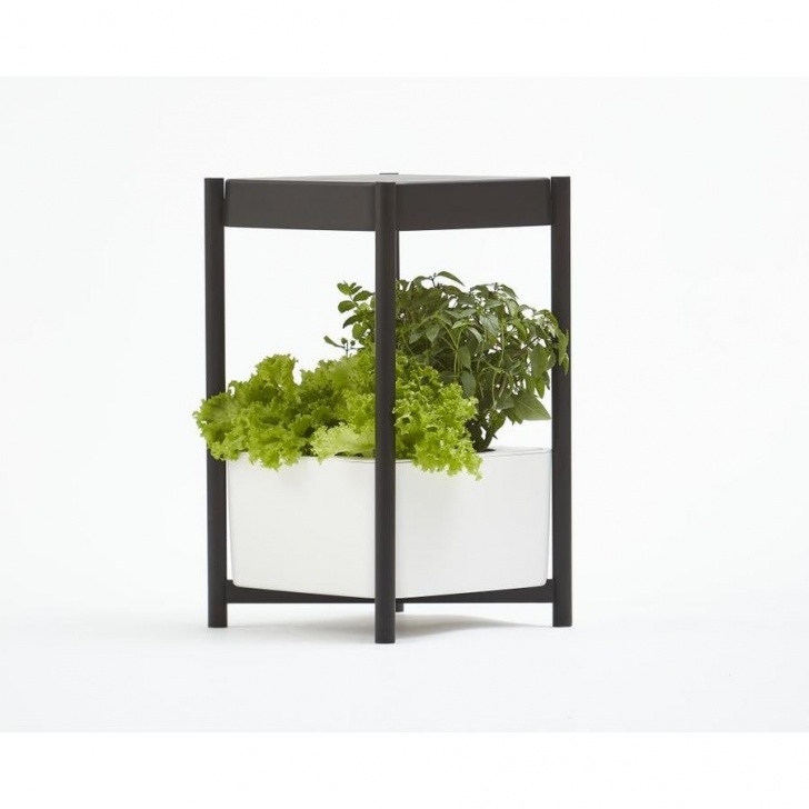 Indoor Plant Growing System Miracle-Gro Twelve Indoor Growing System Led Hydroponic Photo 313