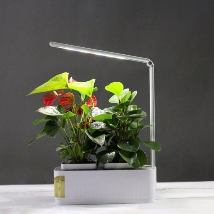 Indoor Plant Growing System Smart Indoor Plant Herb Garden Hydroponic System Kits Grow Photo 770