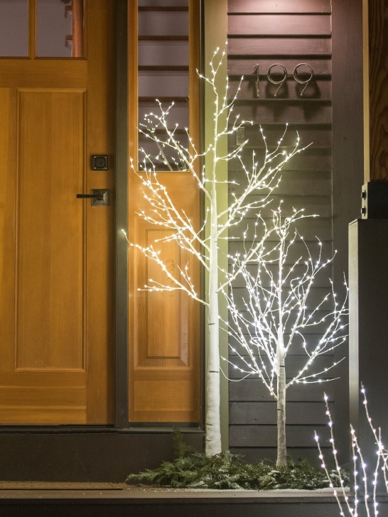 Indoor Plant Lights Decorative Decorative Birch Tree With Led Lights Indoor-Outdoor Image 387