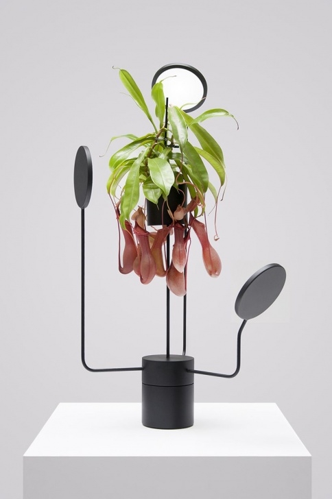 Indoor Plant Lights Decorative These Light Fixtures Double As High-Tech Planters Picture 110