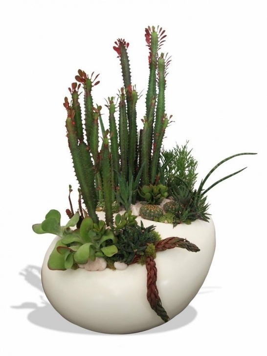 Indoor Plant Pots Amazon Amazon: Large Fiberglass River Rock Planter - Organic Image 871