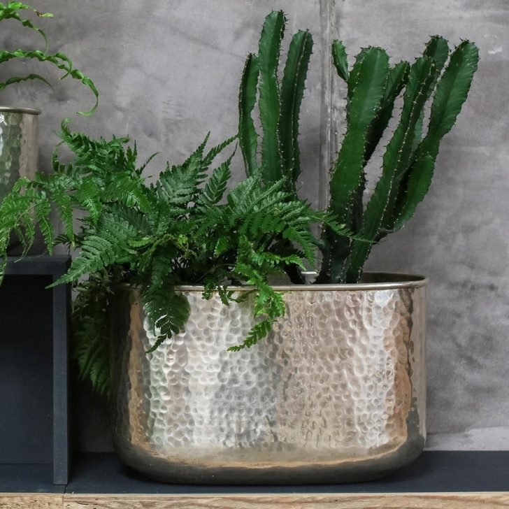 Indoor Plant Pots Amazon Buy Silver Hammered Finish Indoor Planters — The Worm That Picture 739