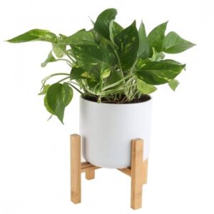 Indoor Plant Pots Amazon Mid-Century Planters On Amazon Prime | Popsugar Home Photo 815