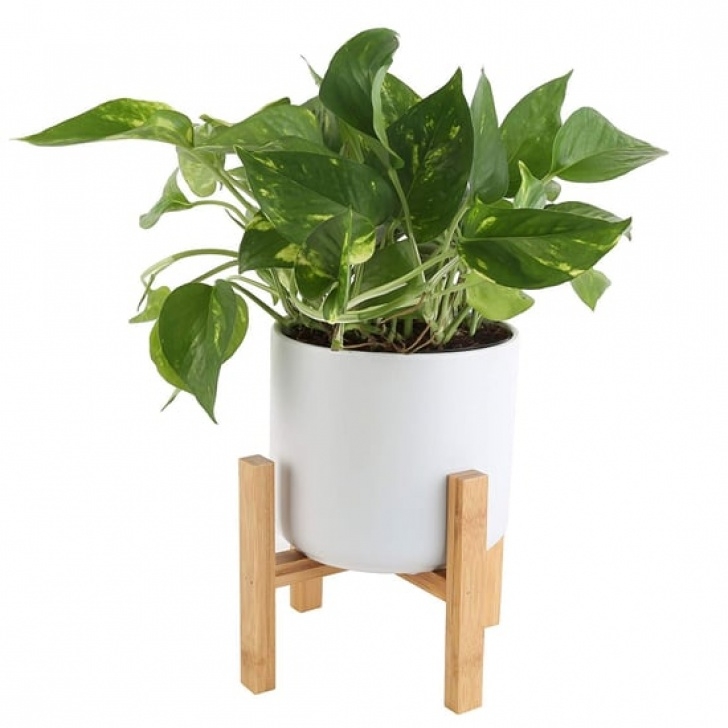 Indoor Plant Pots Amazon Mid-Century Planters On Amazon Prime | Popsugar Home Photo 815