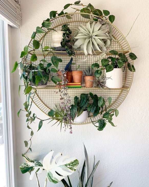 Indoor Plants Reddit Adjusted Some Things. Yet Another Iteration Of My Kitchen Image 730