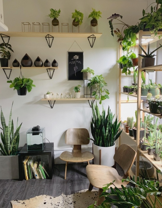 Indoor Plants Reddit Cozy Plant Shop Reading Corner . . #Interiordesign # Image 850