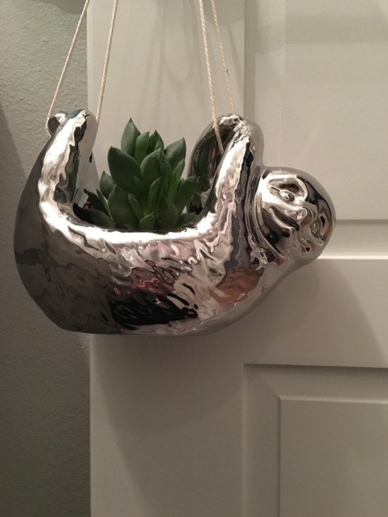 Indoor Plants Reddit Reddit - Succulents - Found The Cutest Planter At Photo 247