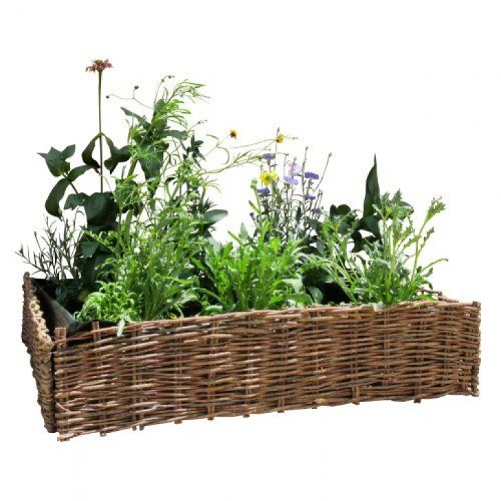 Indoor Raised Garden Bed 21 Best Indoor Garden Images On Pinterest | Herb Garden Image 145