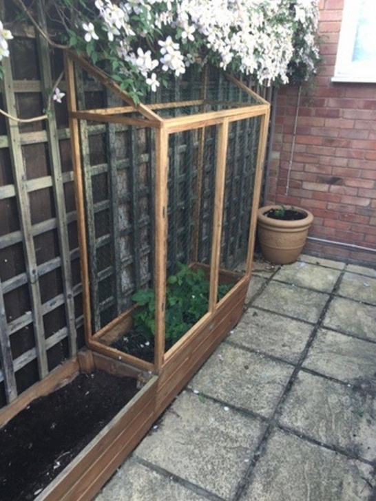 Indoor Raised Garden Bed Build A Raised &amp; Enclosed Garden Bed | Diy Projects For Photo 865