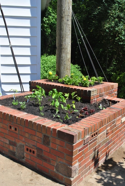 Indoor Raised Garden Bed Salvaged Brick Raised Bed ------ What I Think They Will Picture 274