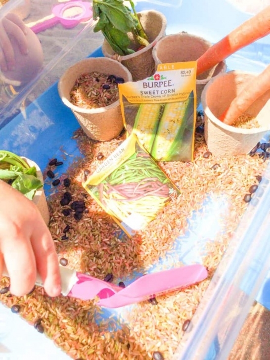 Indoor Sensory Garden Garden Sensory Bin For Outdoor Or Indoor Play - Views From Picture 460