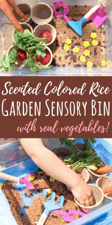 Indoor Sensory Garden Garden Sensory Bin For Outdoor Or Indoor Play - Views From Picture 696