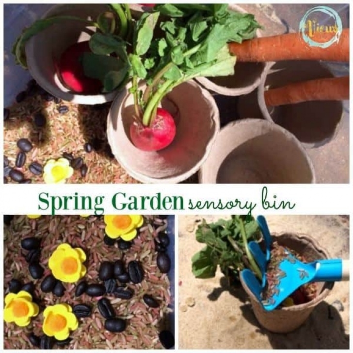 Indoor Sensory Garden Garden Sensory Bin For Outdoor Or Indoor Play - Views From Picture 898