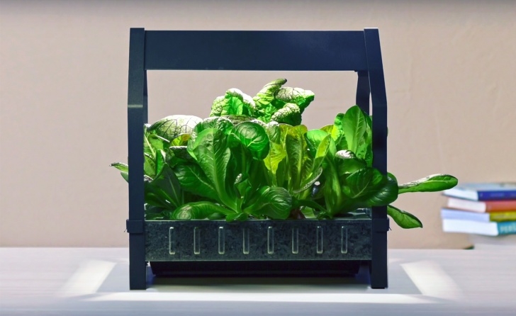 Indoor Sun Hydro Hydroponics Image 848