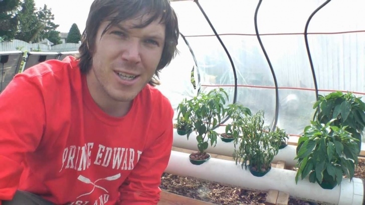 Indoor Sun Hydro Solar Panels To Your Hydroponics Part 2 | Hydroponics Picture 633
