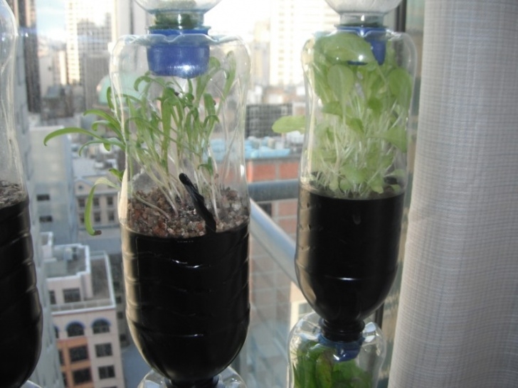 Indoor Sun Hydro Urban Green Survival: Hydroponic Bottle Garden Image 131