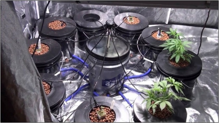 Indoor Sun Hydro Virtual Sun Hydroponics Grow Tent | Home Improvement Image 545