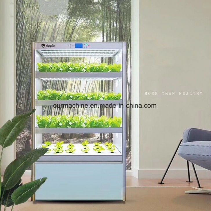 Indoor Vertical Garden Systems China Vertical Aeroponics System Home Tower Gardening Image 114