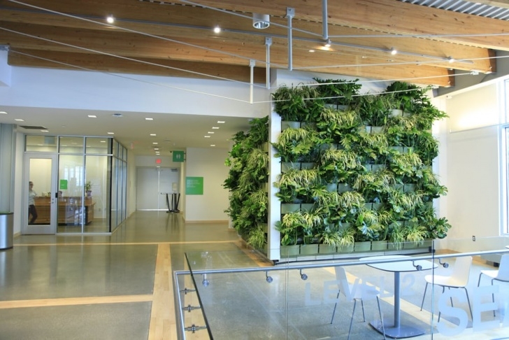 Indoor Vertical Garden Systems Downtown Market Indoor Vertical Garden - Livewall Green Image 411