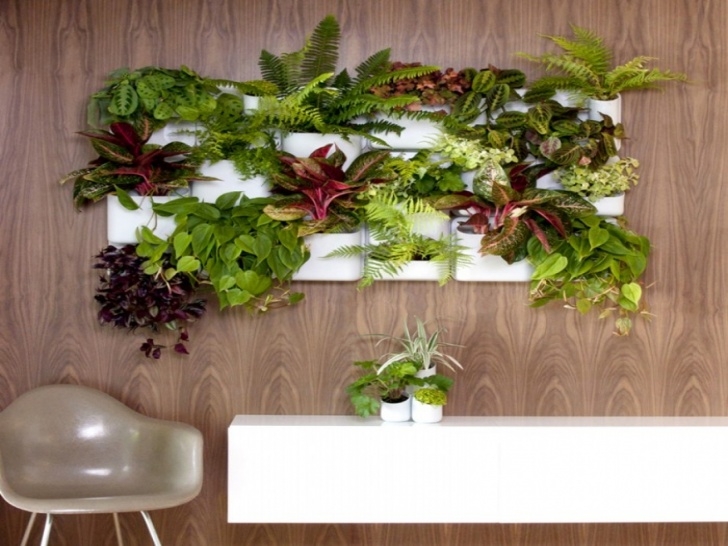 Indoor Vertical Garden Systems Outdoor Halloween Decorating Ideas, China Vertical Wall Photo 387