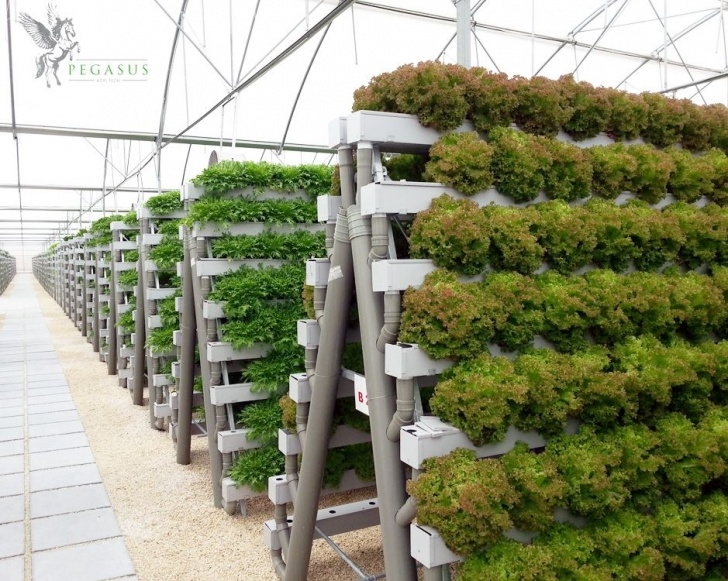 Indoor Vertical Garden Systems Pin About 정원 가꾸기 및 수직농장 On Hydroponics, Aeroponics, And Image 946