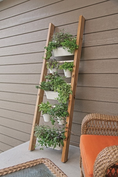 Indoor Vertical Herb Garden Clever Vertical Herb Gardens That Will Grow A Lot Of Herbs Picture 519
